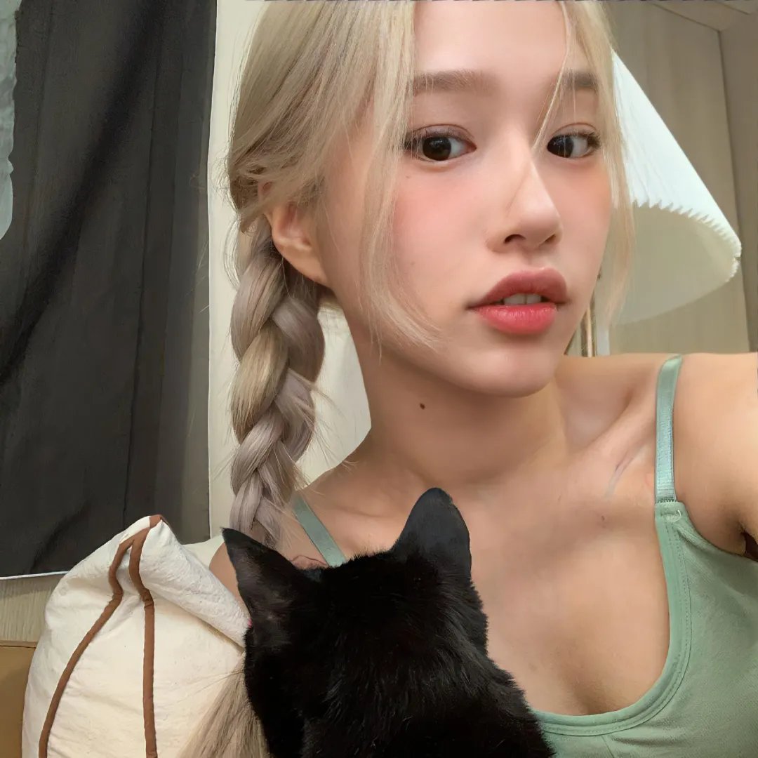 猪猪侠